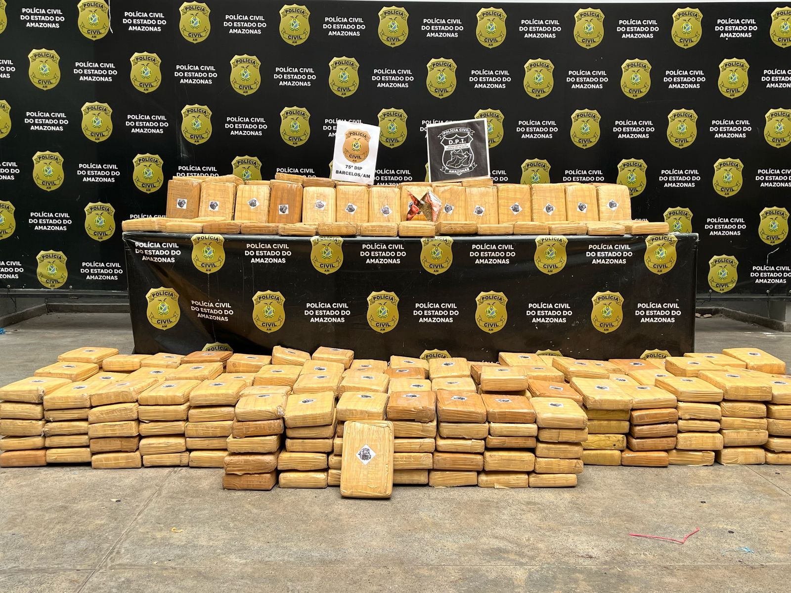 Drogas avaliadas em R$ 10 milhões estavam em esconderijo em área de mata