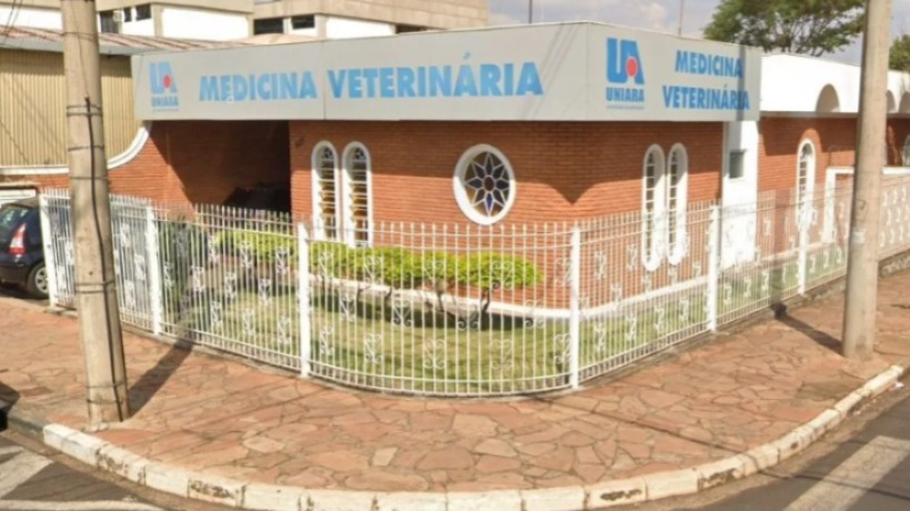 Calouros são forçados a beijar cabeça de porco em trote universitário