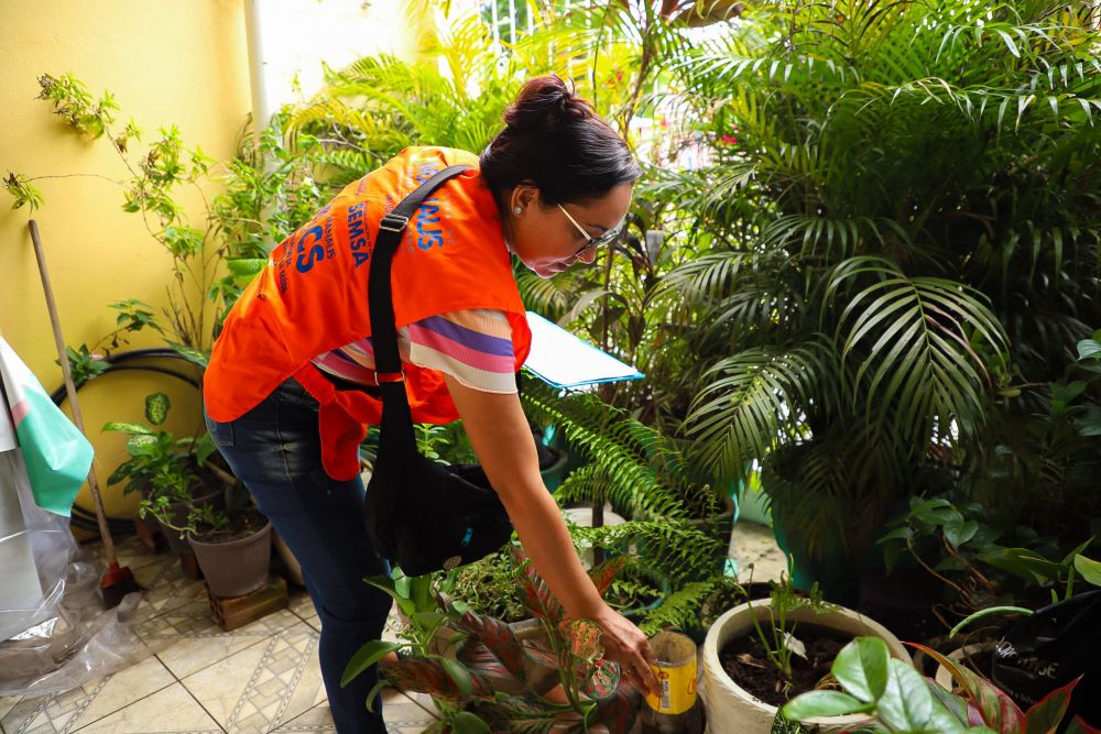Manaus confirma mais 4 casos de dengue