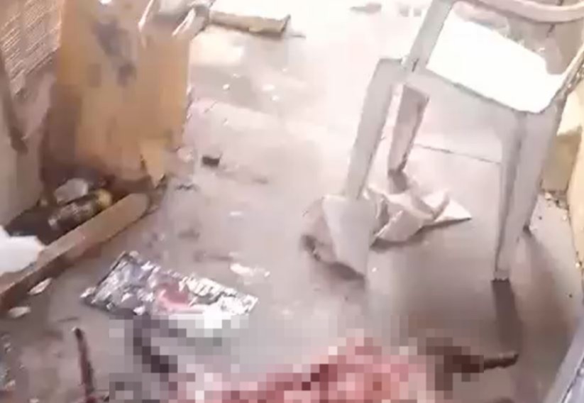 Homem mata cachorro, arranca órgãos e foge nu em Manaus