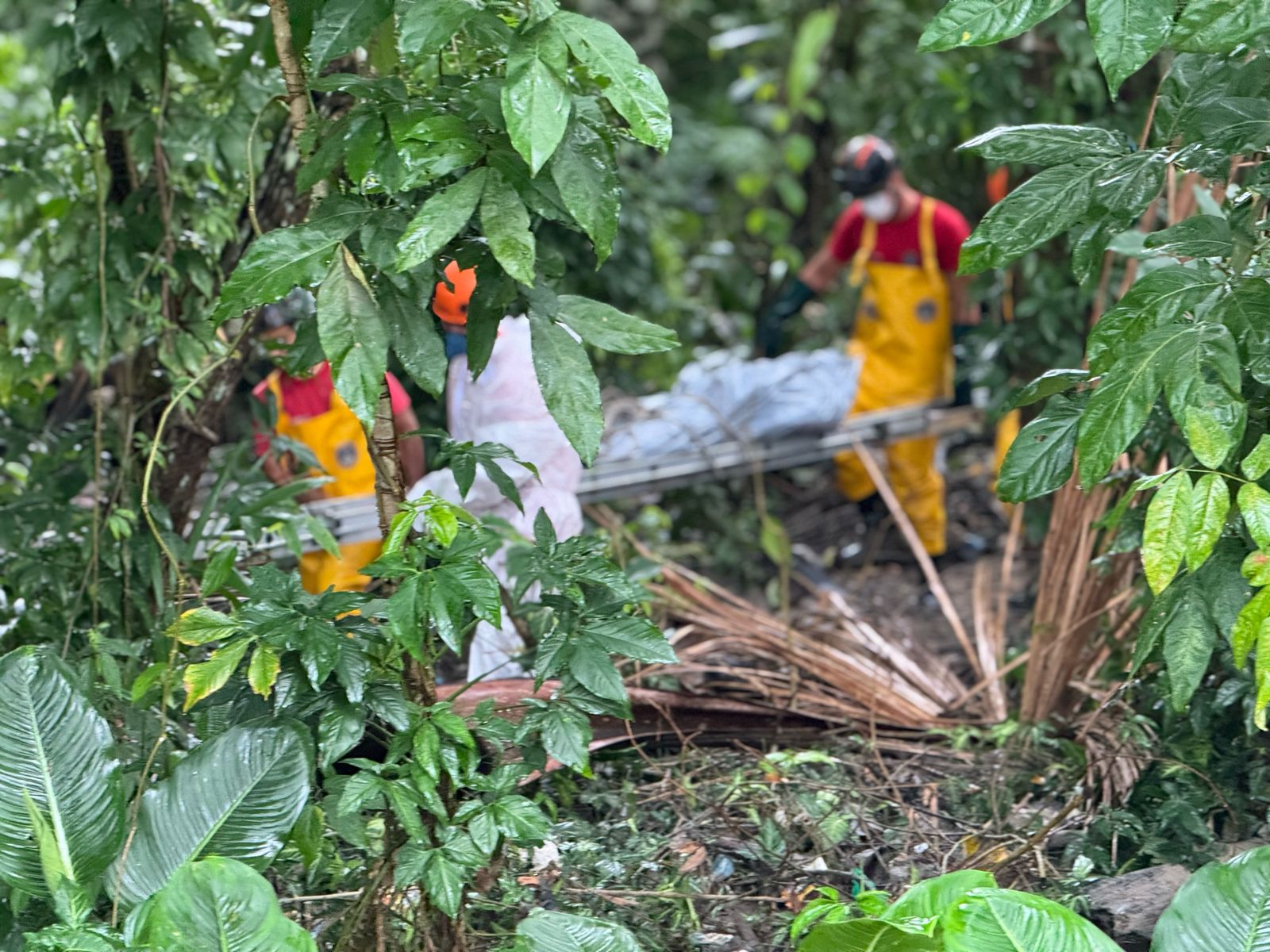 Corpo é encontrado com mãos e pés amarrados em matagal no Lago Azul