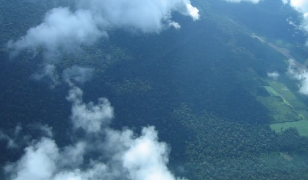 Petrobras comprará R$ 450 milhões em créditos de carbono na Amazônia