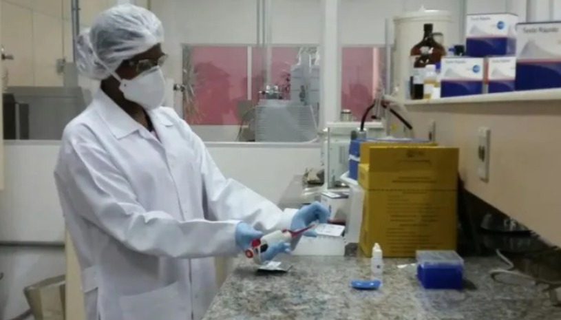 Primeira vacina brasileira contra gripe aviária entra em fase de testes