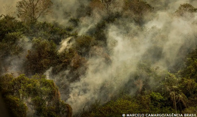 Crise climática pode provocar nova extinção em massa, diz pesquisador