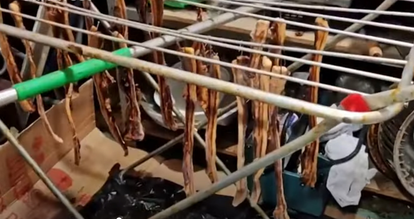 Restaurante que servia carne podre e pombo no lugar de pato é fechado em Madrid