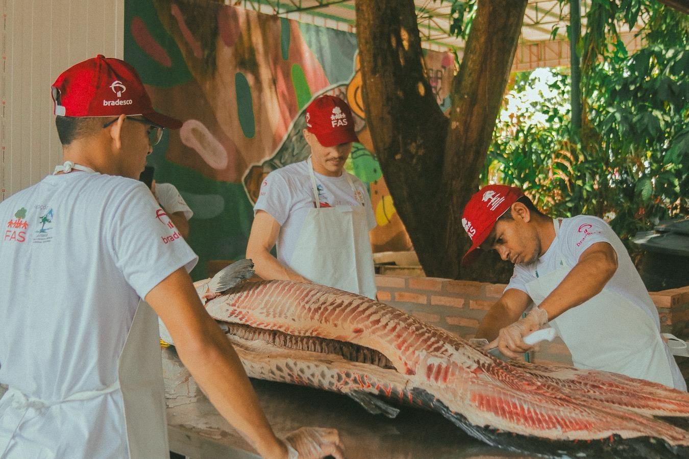 Tecnologia social impulsiona manejo sustentável do pirarucu na RDS Mamirauá