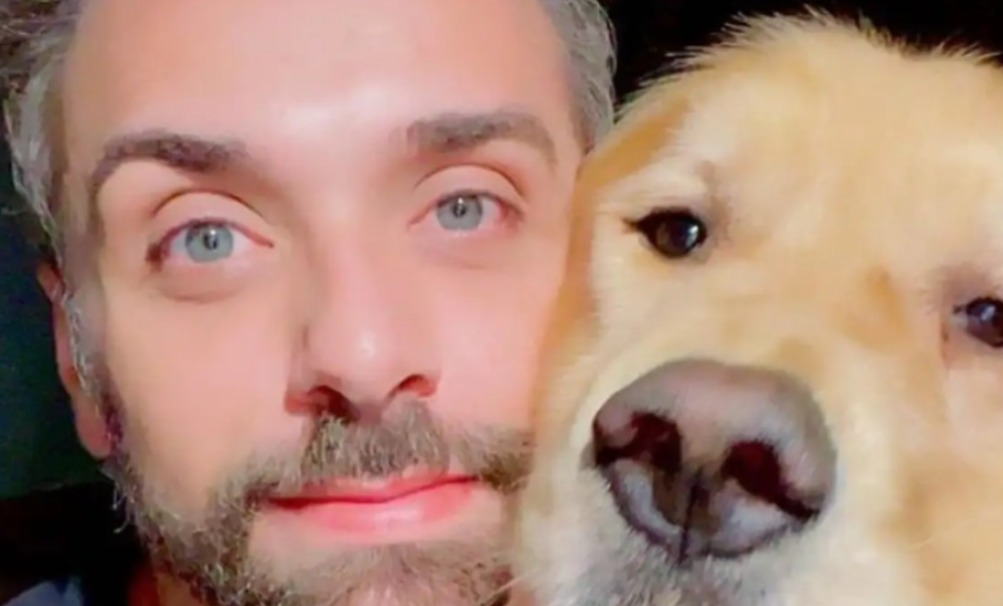 Senado aprova novas regras para transporte aéreo de animais