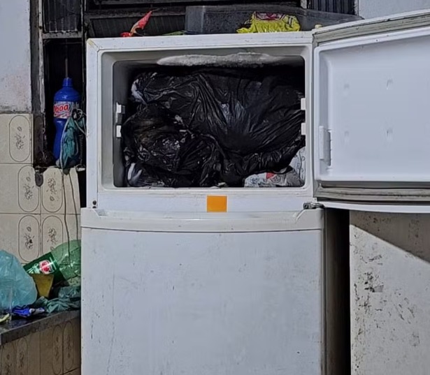  Médico é preso por manter cães mortos em freezer no RJ 