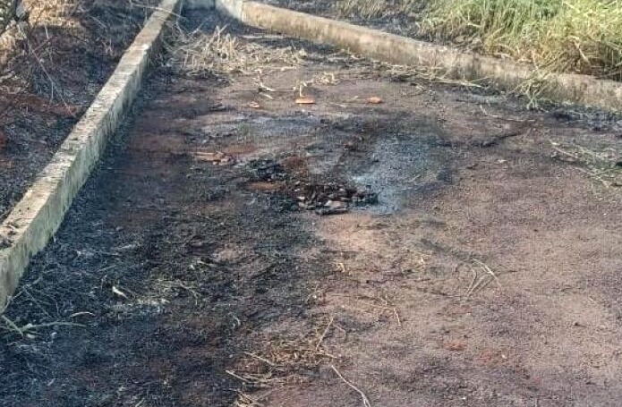 Mulher e bebê são encontrados carbonizados em mata no Mato Grosso do Sul 