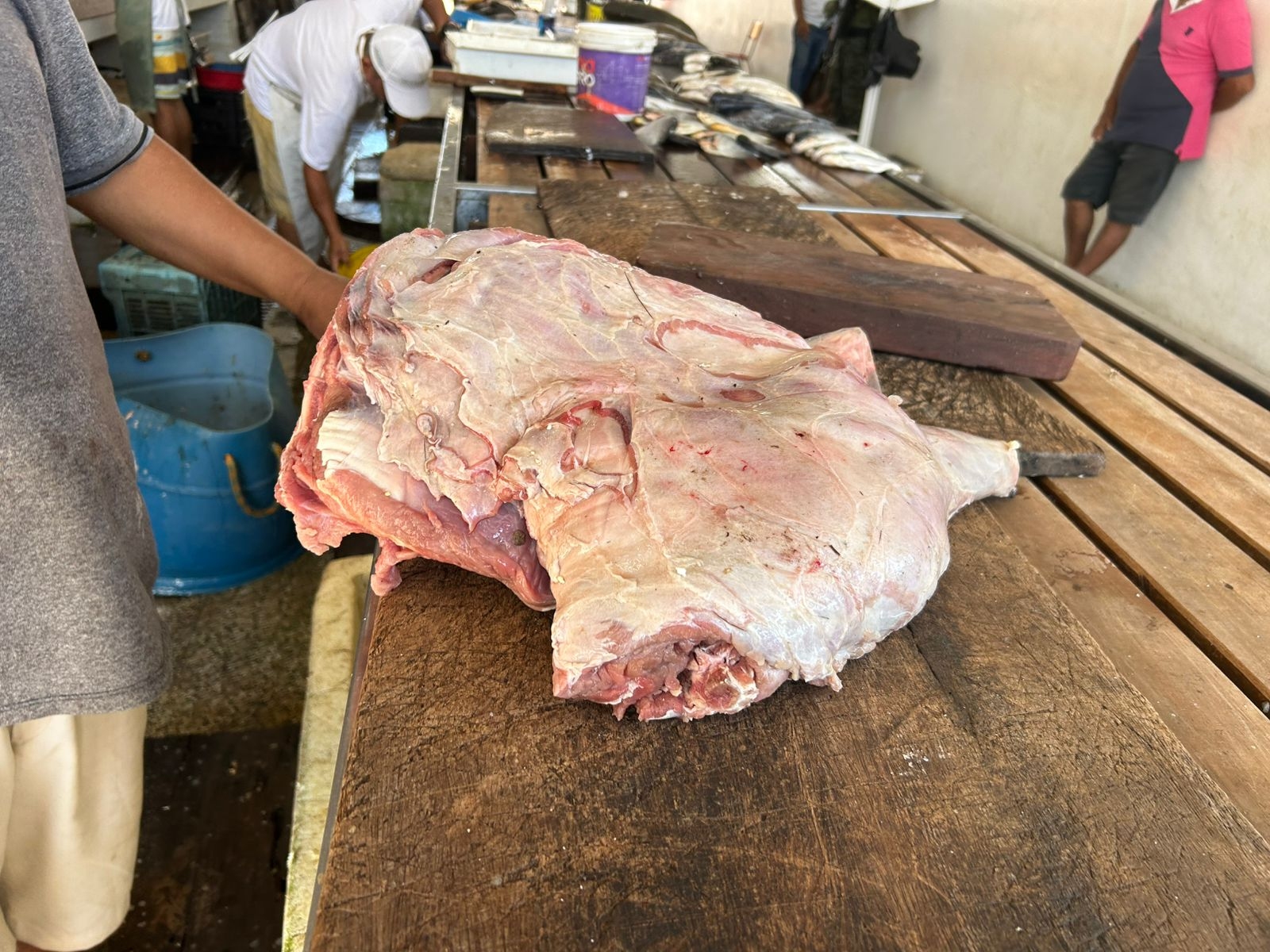 Carne de capivara é vendida ilegalmente em feira de Itacoatiara