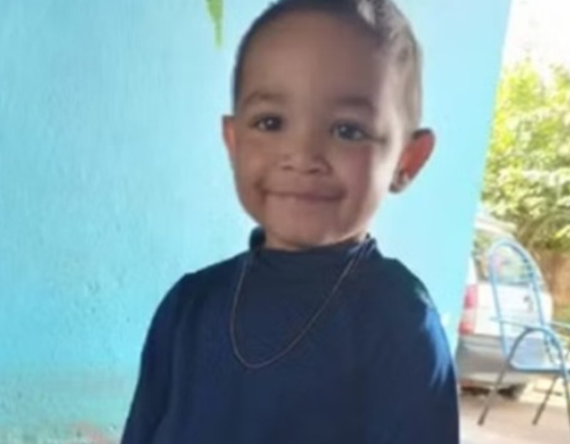 Criança morre após picada de escorpião no Paraná; teve 33 paradas cardíacas