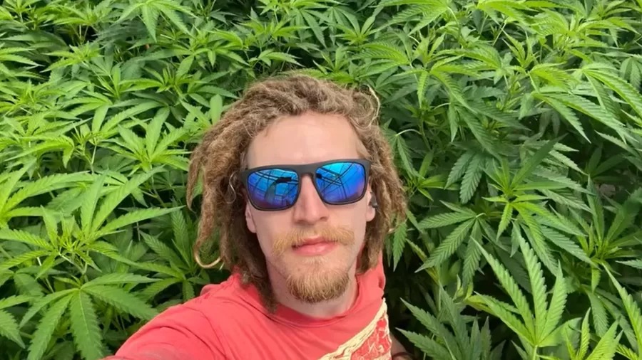 Filho de Caco Ciocler trabalha em plantação de maconha no Canadá