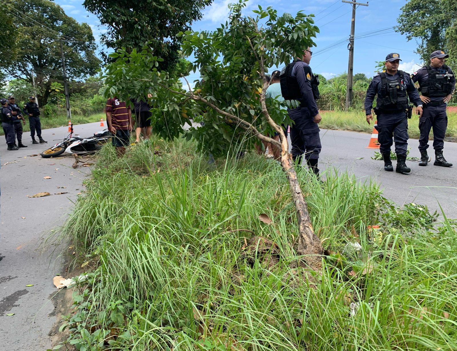 Soldador morre após colidir com árvore na Cosme Ferreira