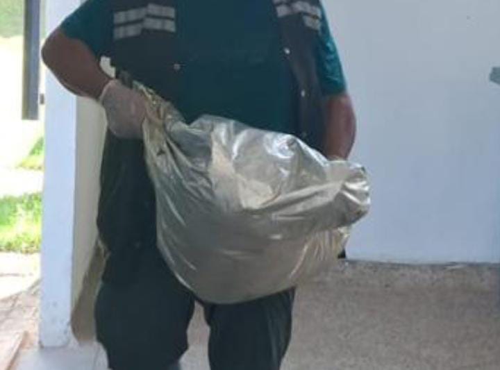 Servidor do CCZ de Iranduba é acusado de eutanásia cruel em animais