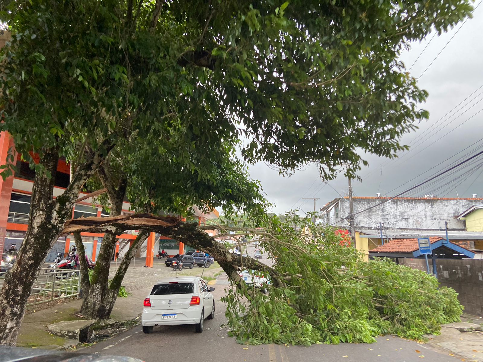 Árvore cai após ventania e bloqueia rua na Redenção