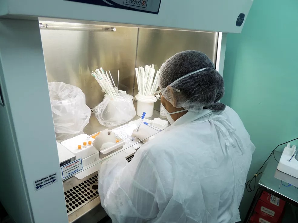 Esporotricose avança e causa primeira morte no Amazonas