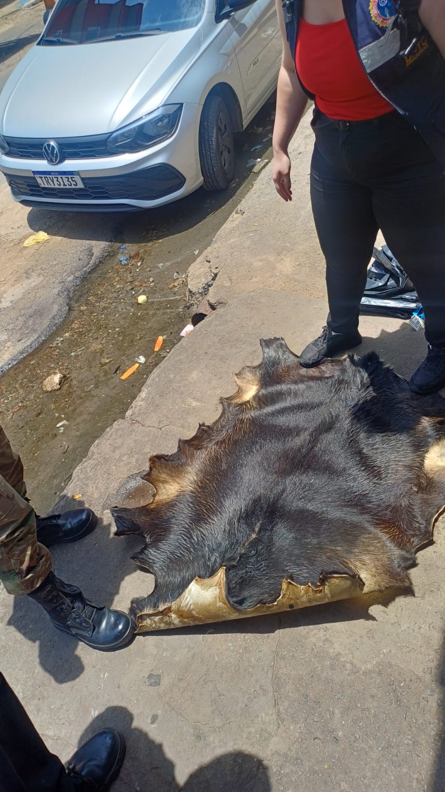 Ossadas de animais silvestres são em apreendidas em fábrica em Manaus