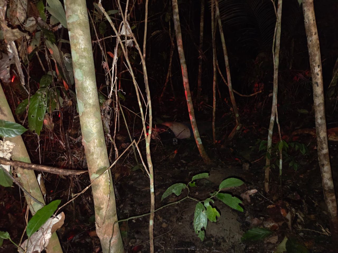 Mototaxista é assaltado e assassinado durante corrida no Tarumã