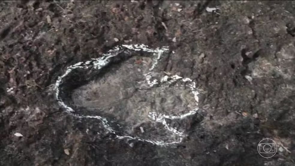 Pesquisadores descobrem pegadas de dinossauros na Amazônia