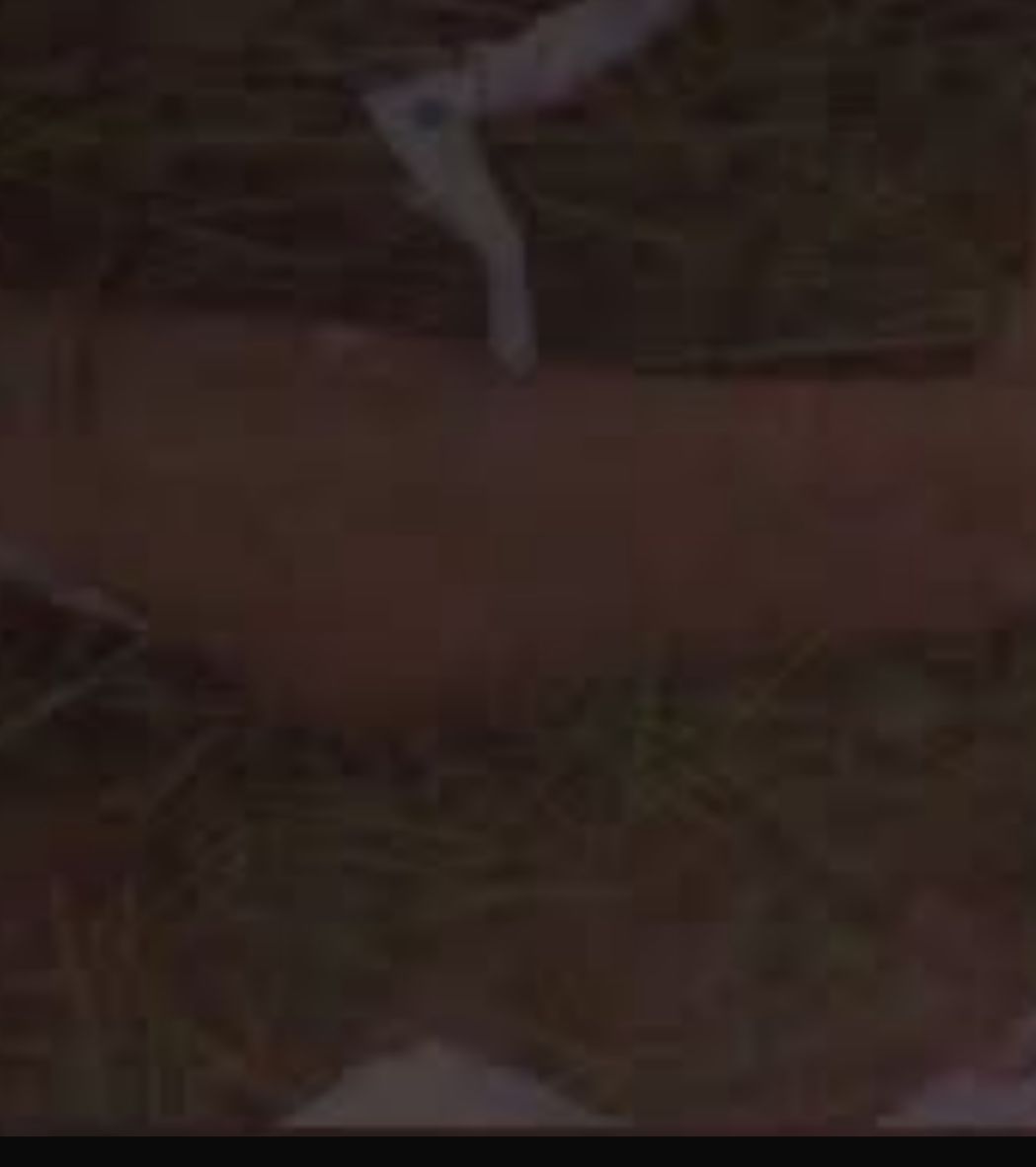 Homem tem braço decepado e morre enquanto tentava salvar a própria vida no Amazonas