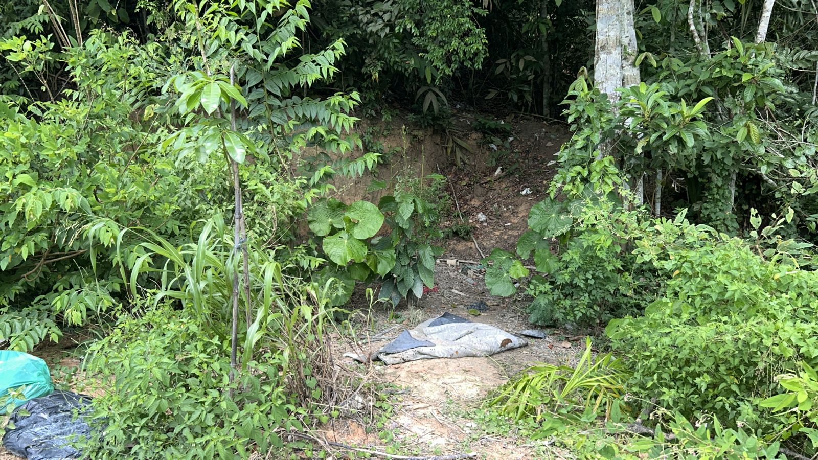 Homem é encontrado em decomposição em área de mata no Japiim