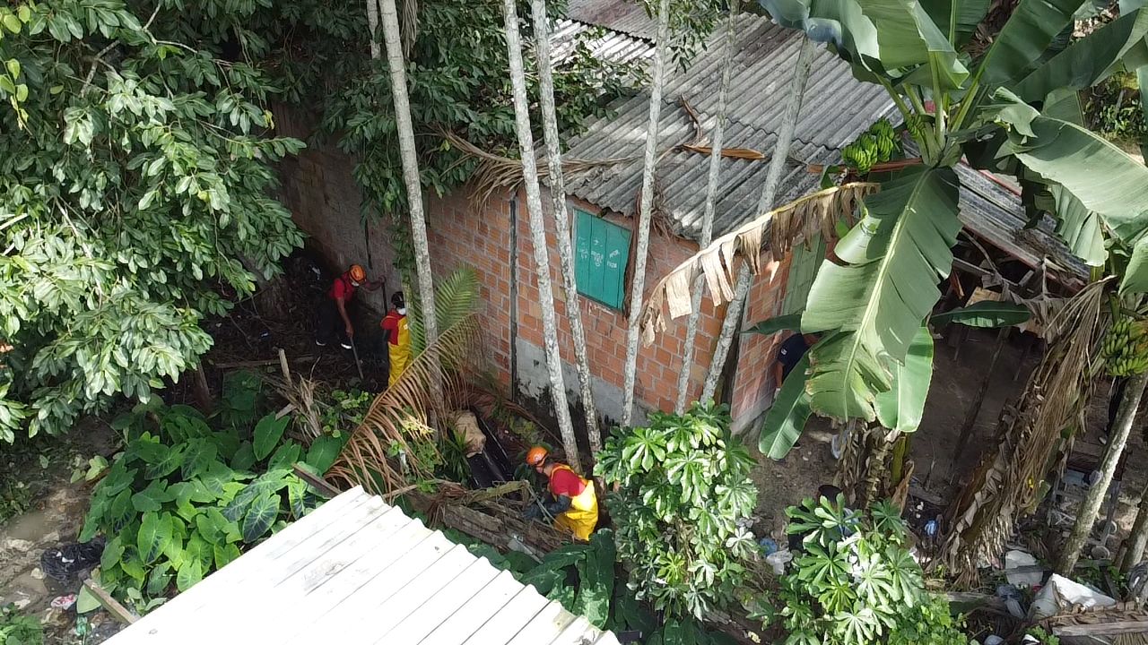 Tronco humano é encontrado em área de mata na Zona Leste