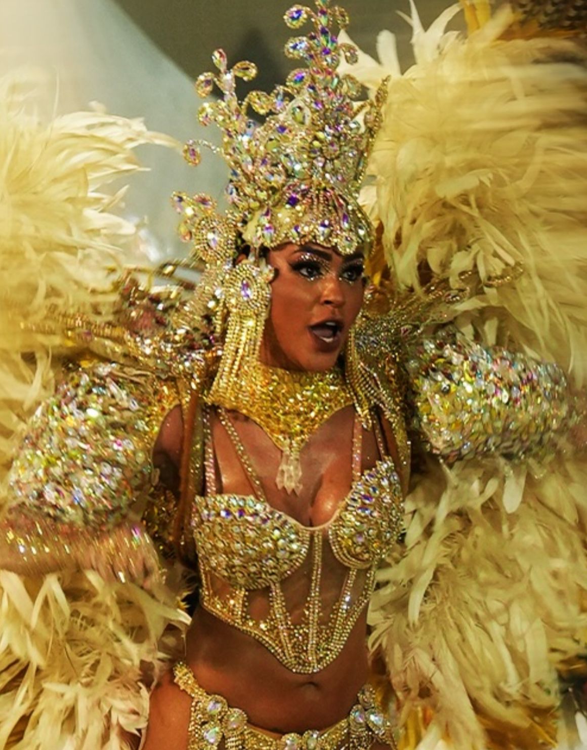 Aparecida faz desfile impecável sobre as riquezas de Novo Airão