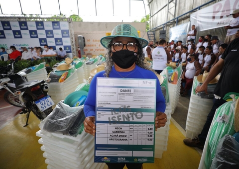 Amazonas concede isenção de ICMS para comercialização de peixes ornamentais