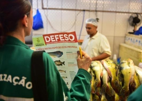 Surubim, tambaqui e outras espécies entram em restrição de pesca no AM