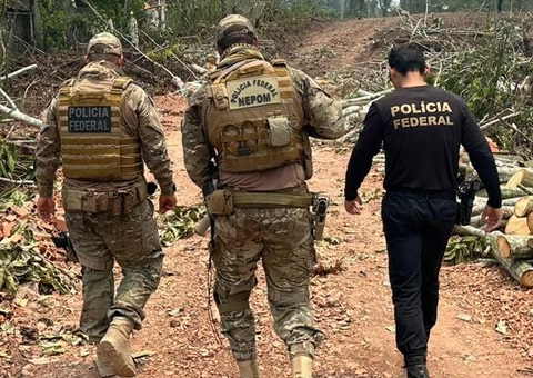 Homem é preso pela PF por transporte de madeira ilegal no Amazonas