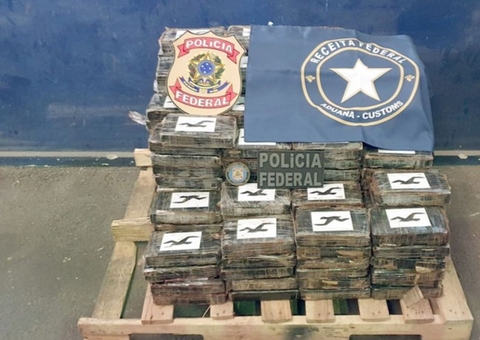 PF apreende 265 kg de drogas escondidas entre mangas 