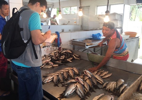 Após 28 anos, Feira do Porto da Ceasa vai passar por reforma em Manaus