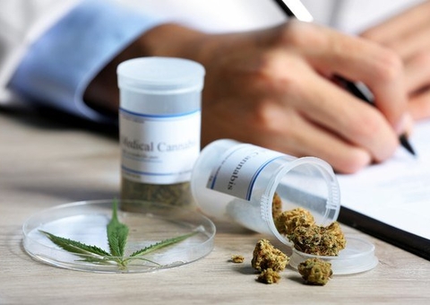Anvisa libera dois produtos à base de cannabis para venda