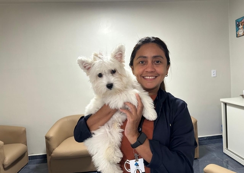 Saiba dicas de como cuidar dos pets durante as festas de fim de ano