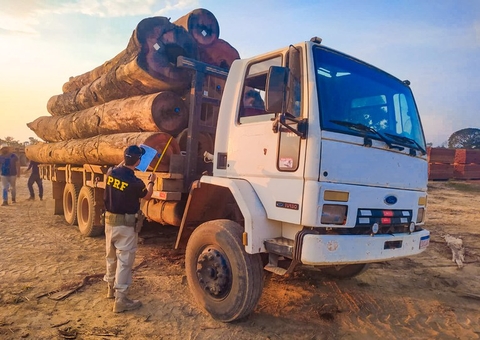 Madeira é apreendida após PRF flagrar transporte irregular na BR-319