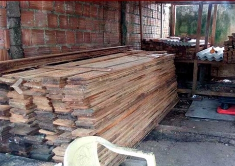 Polícia apreende 22 metros cúbicos de madeira ilegal em depósito clandestino em Manaus