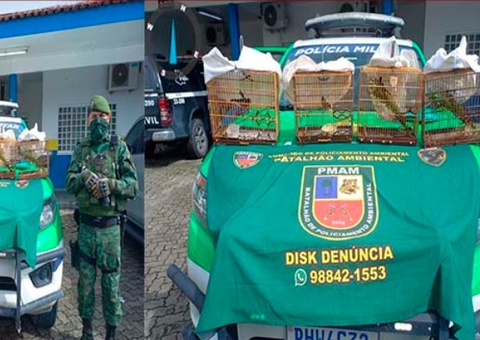 Dupla é presa com pássaros 'curió', avaliados em R$20 mil, em Manaus