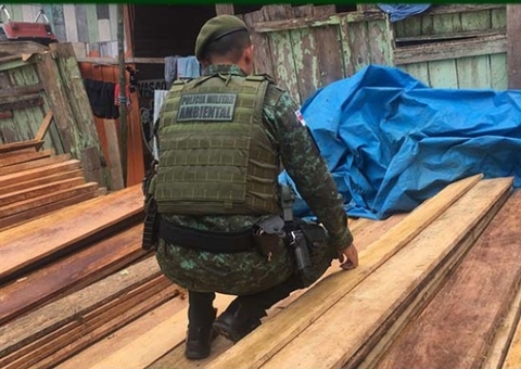 Polícia apreende 12m³ de madeira ilegal em depósito clandestino em Manaus