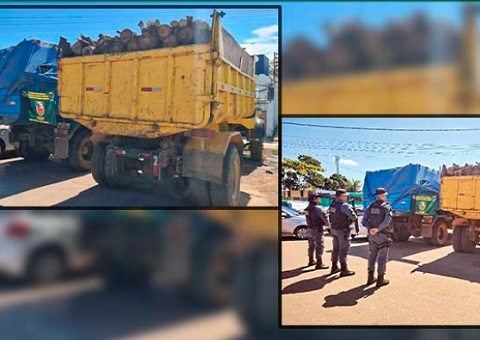 Dois homens são presos por transporte de madeira ilegal na AM-070