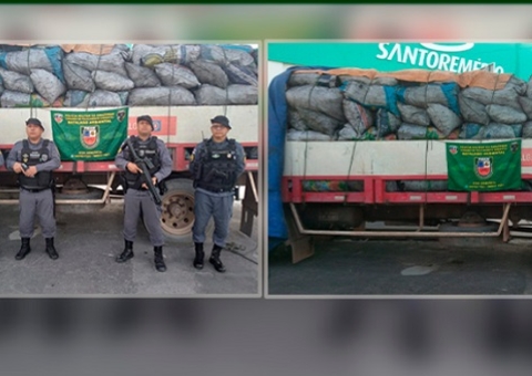 Motorista é preso ao transportar 42 metros de carvão ilegal na AM-070