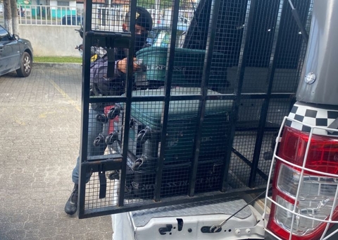 Traficante passa pimenta em 30kg de drogas para despistar cães farejadores em Manaus