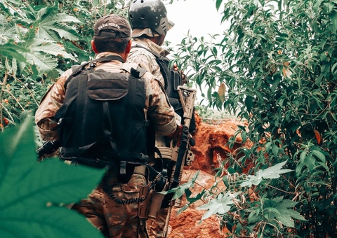 PF prende 2 homens e destrói 256 mil pés de maconha durante operação