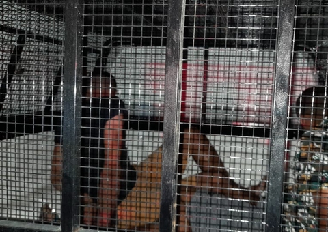 Vítima persegue criminosos após assalto em Manaus; dois são presos