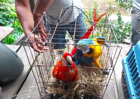 Hotel é multado em mais de R$ 230 mil por usar animais silvestres como atração turística no Amazonas