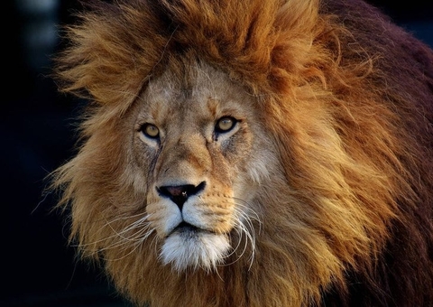 Mais de 7 milhões de brasileiros ainda não declararam IR