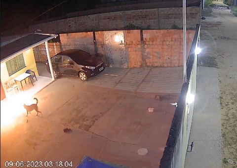 Criminosos encapuzados jogam granada em casa e cachorro fica ferido em Manaus; vídeo