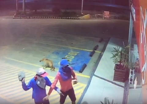 Criminosos quebram vidro e assaltam loja de conveniência em Manaus; vídeo