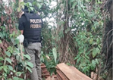 PF prende suspeitos por transporte ilegal de 2 toneladas de madeira no Amazonas