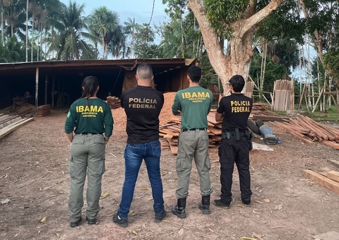PF apreende 20 toneladas de madeira em serraria clandestina no Amazonas