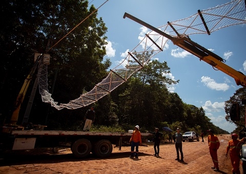 BR-319 recebe primeira passagem superior para evitar atropelamento de animais ameaçados de extinção